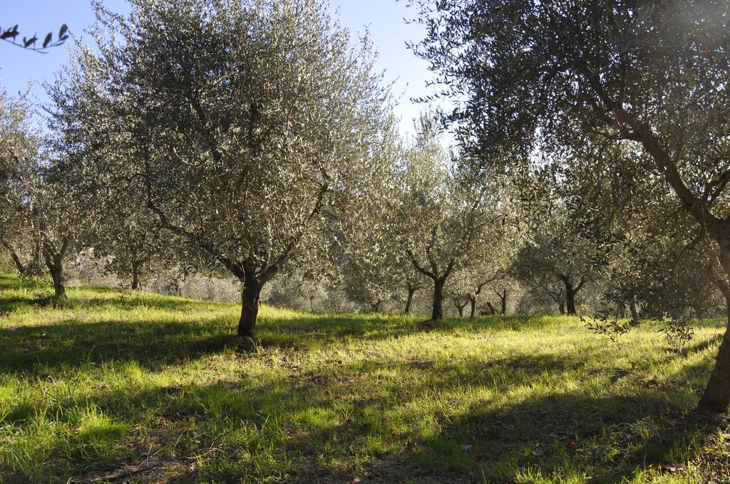 Podere Le Monache 몬타이오네 외부 사진