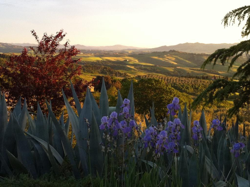 Podere Le Monache 몬타이오네 외부 사진